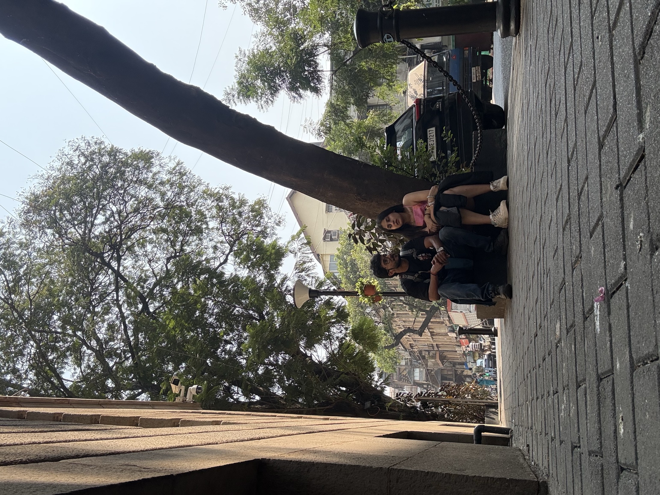 Sitting under a tree on a city sidewalk