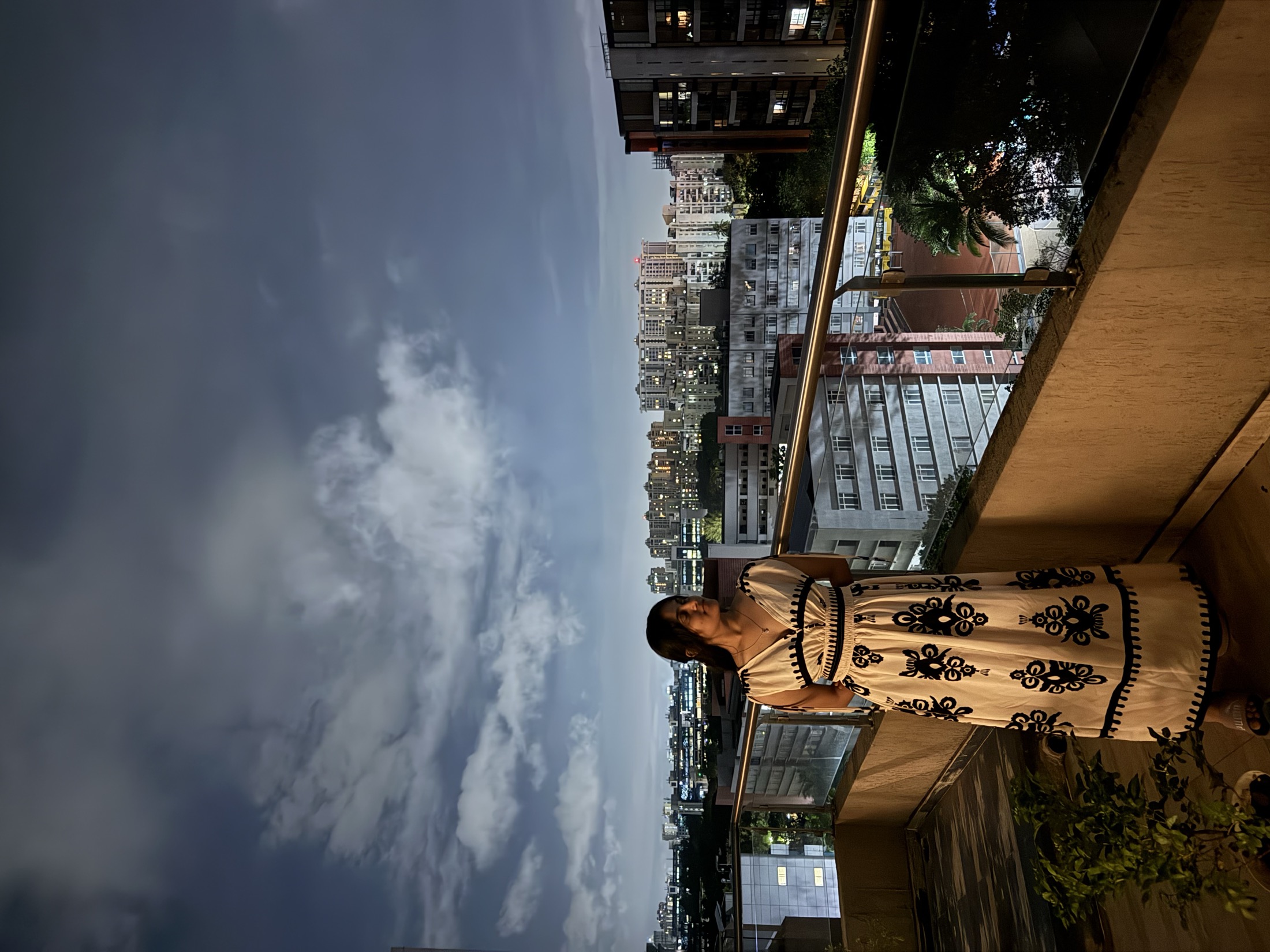 White patterned dress against a city skyline at night